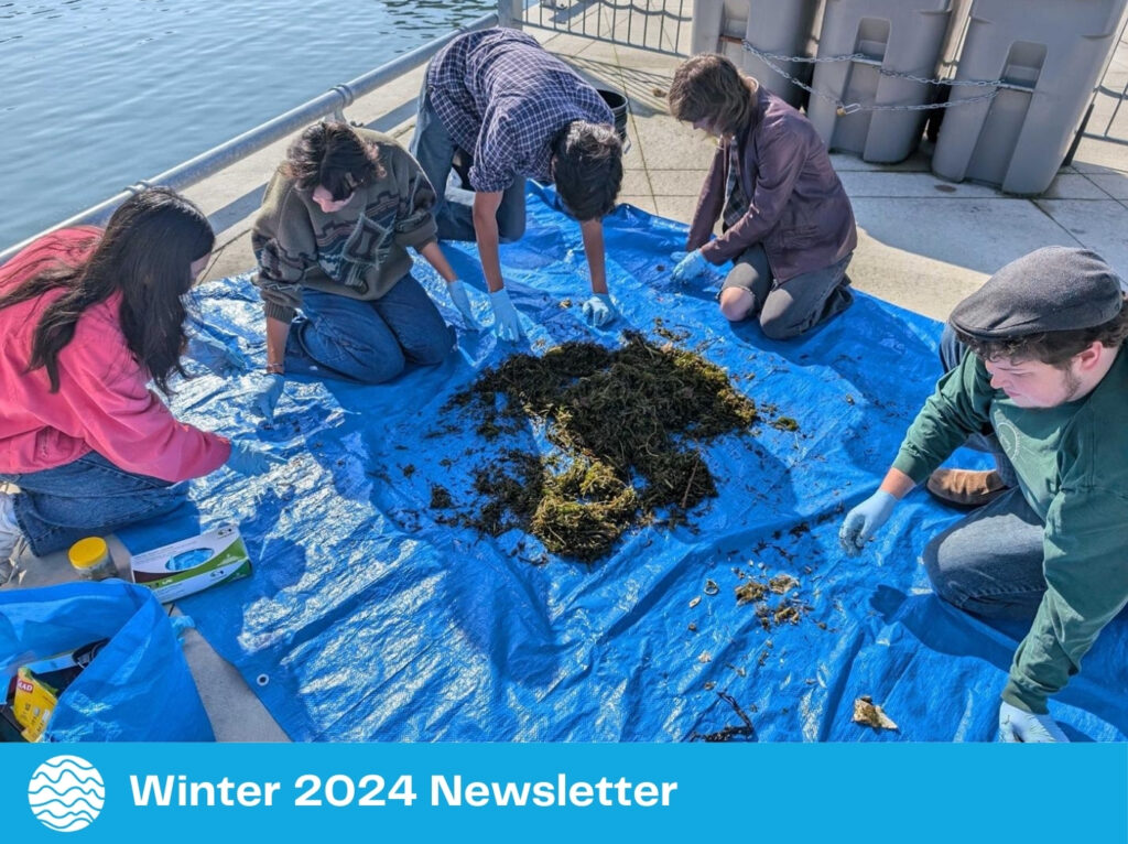 Turning The Tides Young Leaders Taking On Plastic Pollution